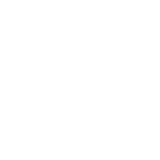 Warrior Waves Yoga